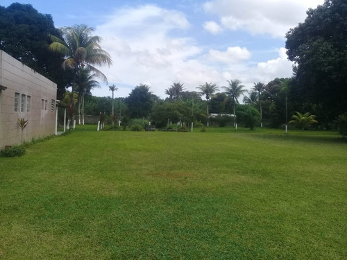 Imagem 12 de 20 de Granja 10.000m2 Ótima Para Loteamento Alto Padrão, Guabiraba, Aceito Imóvel Ou Carro - Ch00013