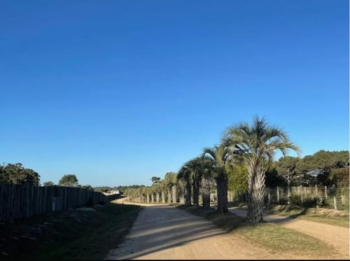 Venta 3 Lotes Contiguos -josé Ignacio-b Privado-playa Brava-perimetral A Pinar Del Faro-uruguay
