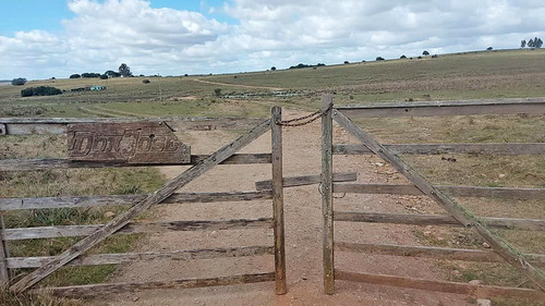 Campo En Ruta 109, Rocha