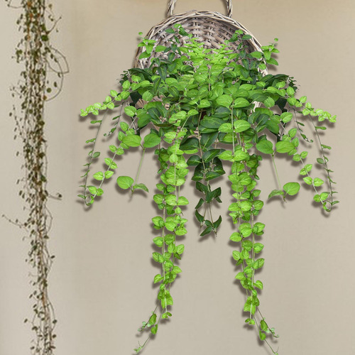 - Cesta Colgante Tejida Hecha A Mano, Soporte De Flores, S