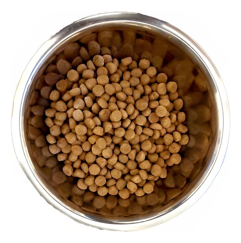 Croqueta Para Cualquier Edad Y Raza 20kg A Granel + Regaló