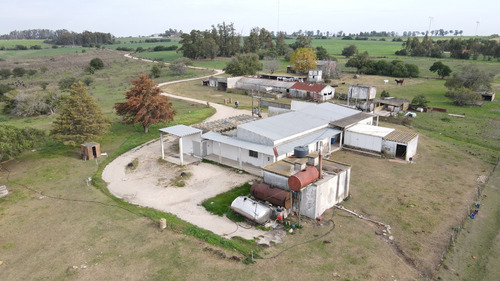 Venta De 33 Há Con Instalaciones Para Industria Láctea En Colonia. Ref: 632-32