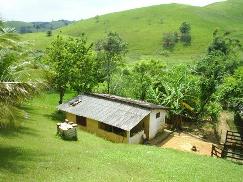 Fazenda À Venda Na Estrada De Sambaetiba, Centro (sambaetiba), Itaboraí - Rj - Liv-11669