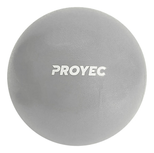 Pelota Esferodinamia 25 Cm Pilates Yoga Mini Ball Reforzada