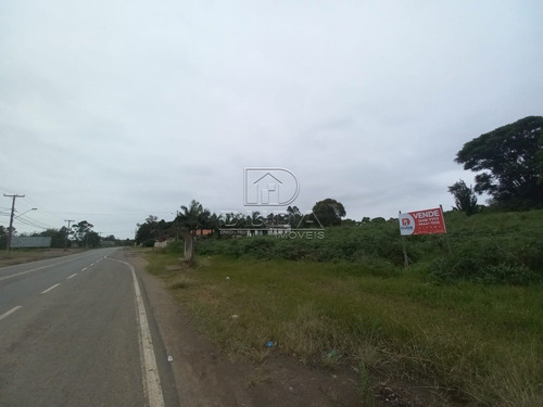 Imagem 3 de 15 de Terreno Comercial - Sangao - Ref: 30533 - V-30531