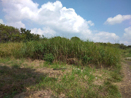 Terreno En Venta El Cololonia Los  Maguito Al Sur Poniente De Tuxtla Gutierrez