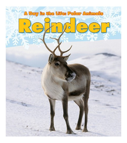 Book : Reindeer (a Day In The Life Polar Animals) - Marsico