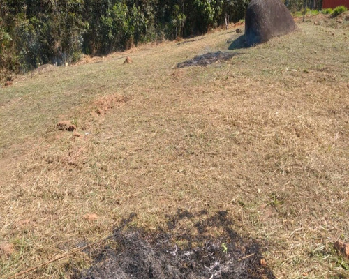 Imagem 7 de 11 de Terreno - Te00147 - 68899696