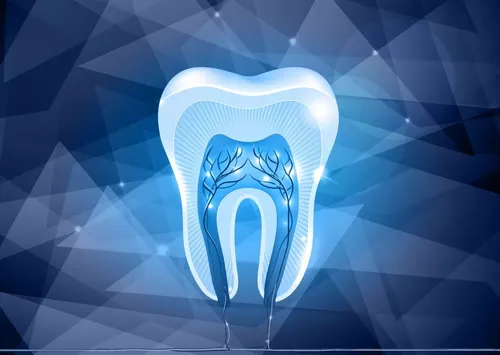 comprar Cuadro 60x90cm Odontologia Dientes Muela Dentista M1