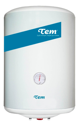 Termotanque Tem 80 Lts De Acero T1vtq80cl3007 Albion