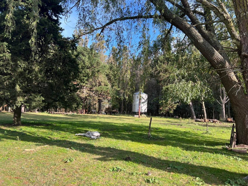 Imagen 5 de 14 de Venta Campo 115 Hectareas Ganadero Con Casco 700 Mts