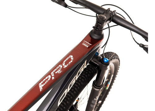 Bicicleta Oggi 29 Carbono Agile Pro Xt 12v 2024