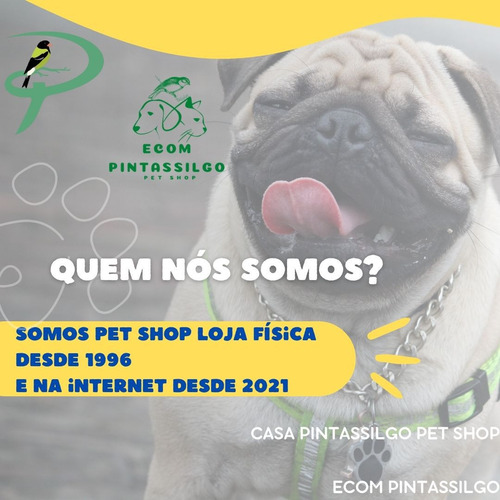 Antipulgas Ceva Vectra 3d Cães De 10 A 25 Kg 3 Pipetas Violeta
