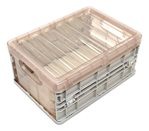 Caja Organizadora Plegable 25 X 15 X 10,5 Cm (l8801)