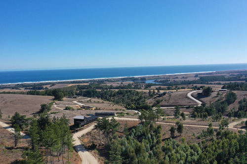 Mar Y Bosque Sobre Punta De Lobos