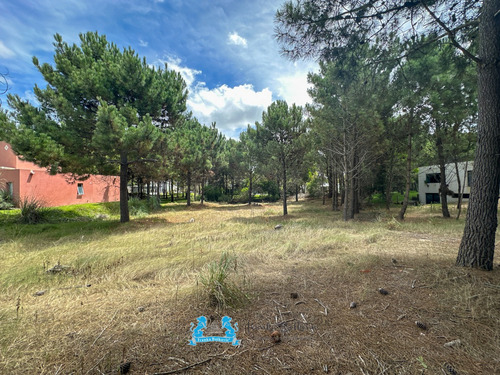 Venta Oportunidad Lote - 1354 Metros - Costa Esmeralda Barrio Residencial 1