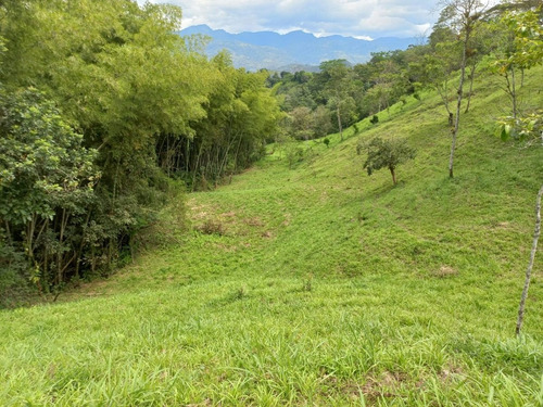 Imagen 2 de 8 de Venta De Casa Lote Esquinero A 1 Km De Villeta