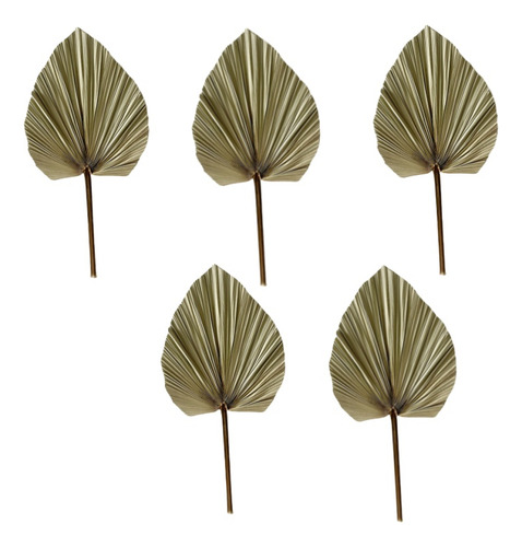 5psflores Secas Hojas De Palma Decoración De La Boda En Casa