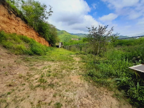 Imagen 17 de 30 de Terreno En Mampote Mls: 23-6747 (linda Sahhar)