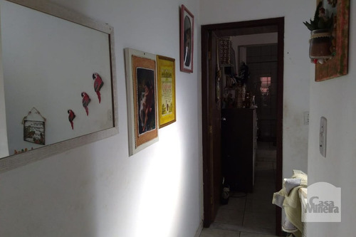 Imagem 5 de 15 de Casa À Venda No Alto Caiçaras - Código 245529 - 245529