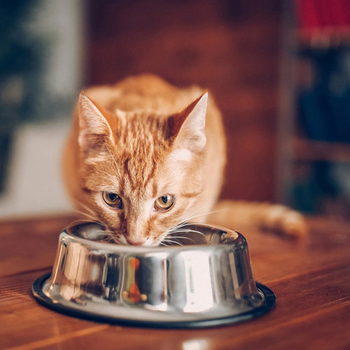 Alimento Para Gato Purina One® Esterilizado Pollo Salmon 6kg