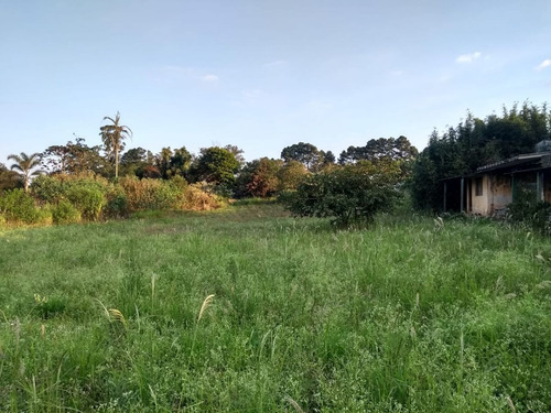 Imagem 4 de 8 de Área Rural - Sítio - 1222