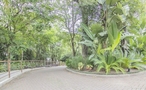 Imagem 15 de 19 de Apartamento Morro Santana Porto Alegre - 7889