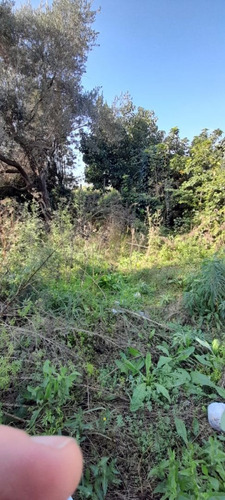 Imagen 1 de 3 de Terreno En Venta En Los Polvorines