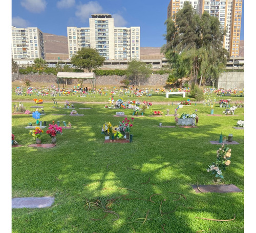 Venta Sepultura Iquique Parque Sendero