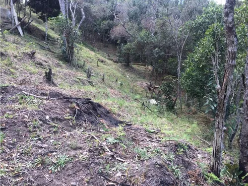 Lote En Venta Con Cabaña Y Explanada Para Casa Principal, Guarne