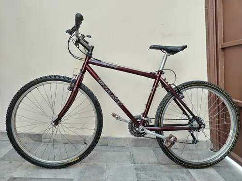 Bicicleta Giant Iguana MercadoLibre