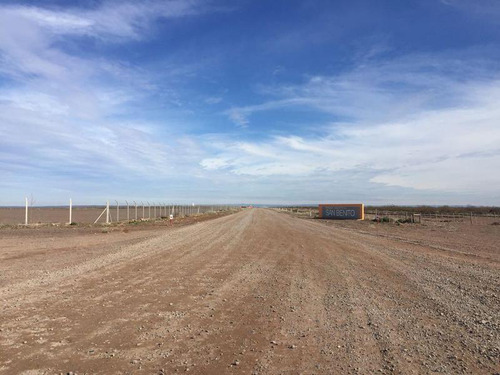 Lote 4 Ha  Parque Industrial Añelo Vaca Muerta