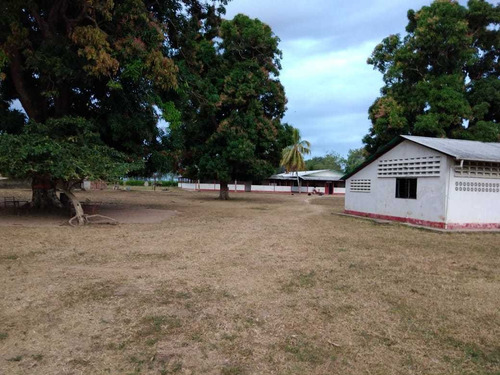 Imagen 6 de 24 de Hato En Venta En Santa Bárbara De Barinas