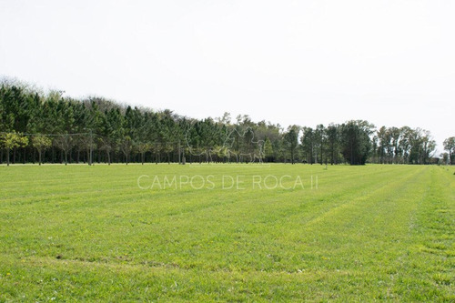 Imagen 4 de 6 de Venta Terreno - Campos De Roca Ii