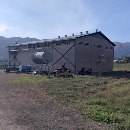 Terreno Agrícola De 8 Hectáreas En Nirgua Socc