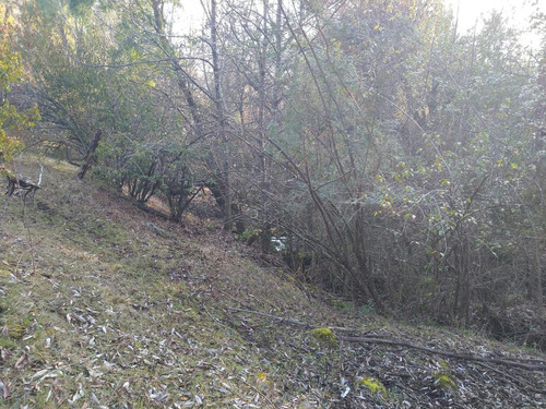 Chacra - Las Golondrinas