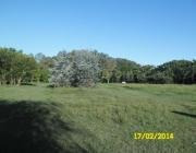 Imagen 7 de 19 de Quinta - San Antonio De Areco