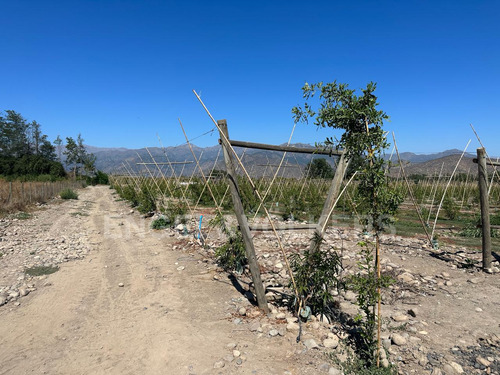 Terreno En Santa Amalia