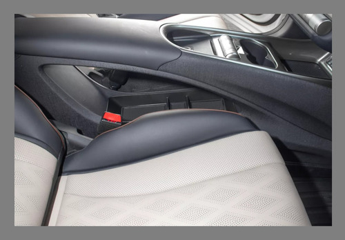 Organizador Consola Accesorio Para Byd Dolphin 2023 - 2025