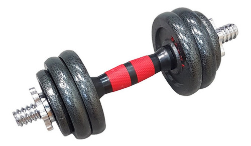 Juego De Pesas Mancuernas Labradas De 15 Kg Hierro Fundido