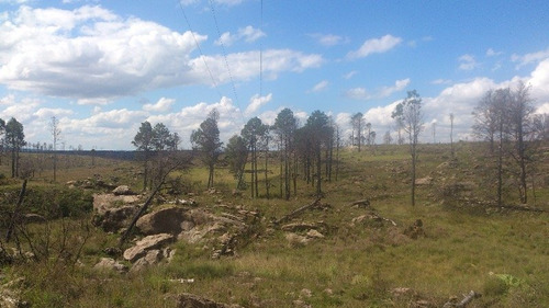 Venta Fraccion De 2 Hectáreas Y Media En Yacanto - Tlc0459