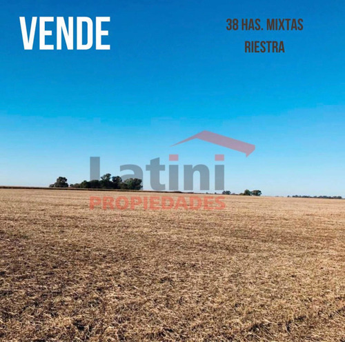 Imagen 3 de 6 de Campo 38 Ha. Mixto