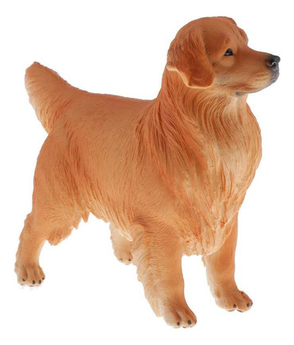 1 Pet Golden Retriever Animal Figuras Modelo Para Recursos