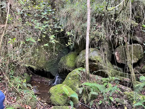 Venta Finca En La Vereda Salitre Alto En Guasca Cundinamarca-5876 (5876).