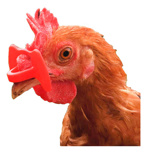 Lentes Para Gallina Antipicaje 100 Pzas. Evita Canibalismo. Color Rojo