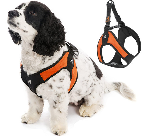 Arnes De Facil Colocacion Para Perros Que Les Gusta Escapar