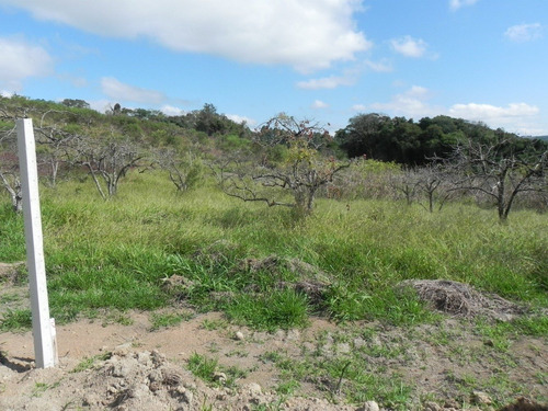 (i.b.) Lindos Terrenos Em Ibiúna - L13i23