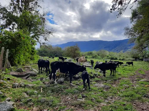 Vendo Espectacular Terreno