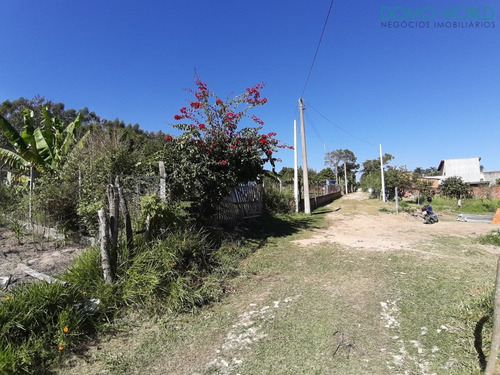 Imagem 14 de 21 de Oportunidade - Aceita Permuta! - Te00027 - 34211690