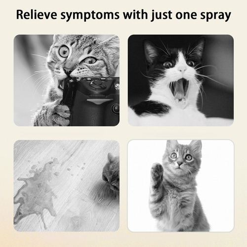Spray De Feromonas Calmante Para Gatos Spray De Feromonas Ca